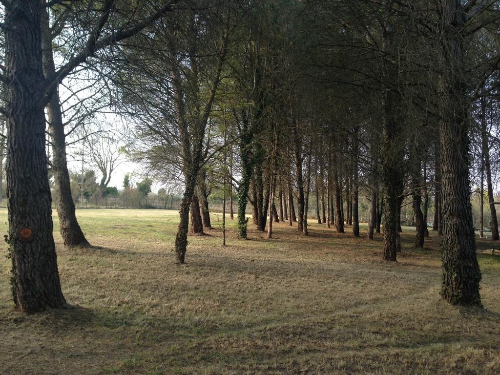 Le Mas De Trevouse Saint-Saturnin-lès-Avignon Kültér fotó