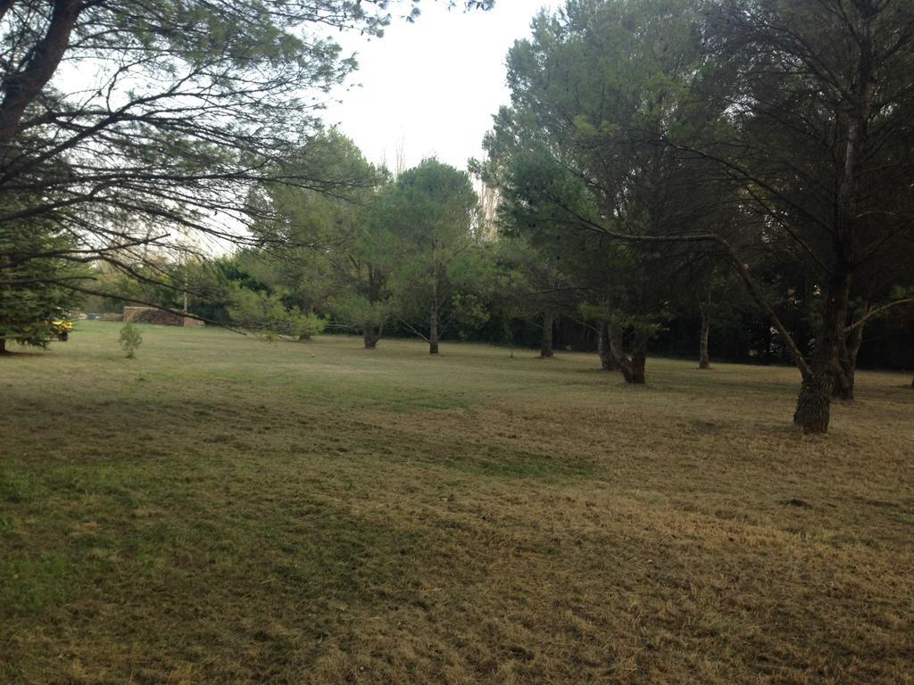 Le Mas De Trevouse Saint-Saturnin-lès-Avignon Kültér fotó